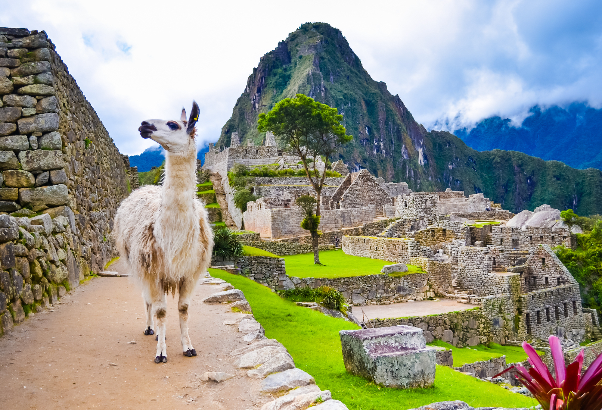 Machupicchu-photo